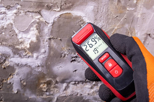Water Damage Restoration in Fox River Grove, IL