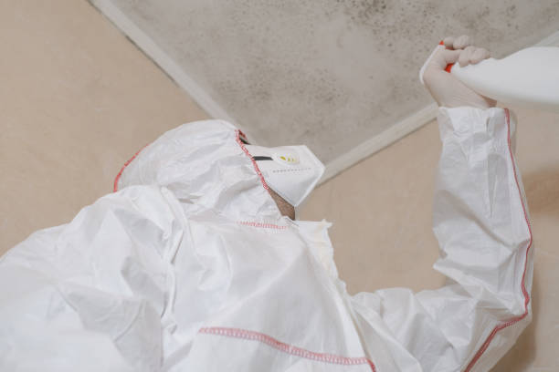 Best Residential Mold Removal  in Fox River Grove, IL