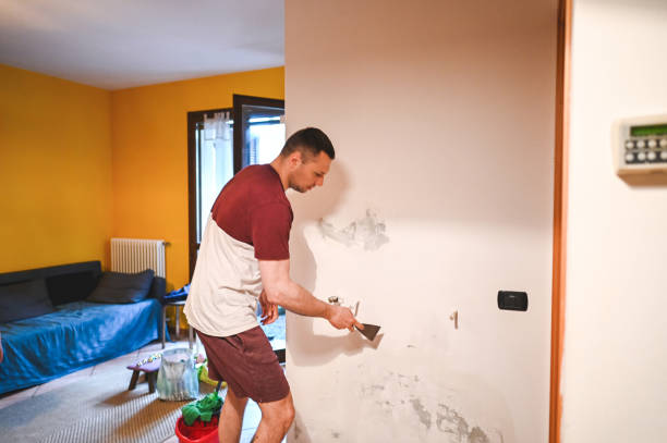 Best Toxic Mold Removal  in Fox River Grove, IL